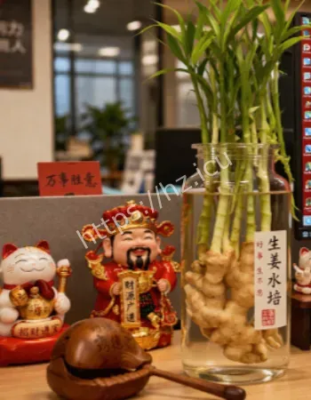 把压力养成了姜